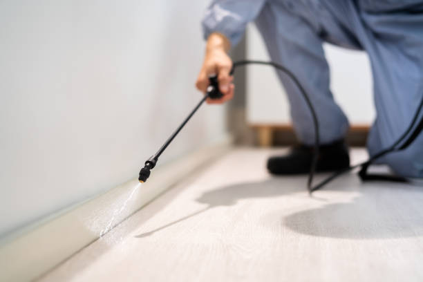 Licensed Rodent Control service in Port Dickinson, NY - Nex Pest Control