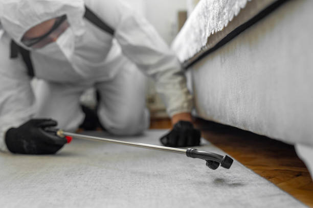 Professional Rodent Control technician working in Port Dickinson, NY