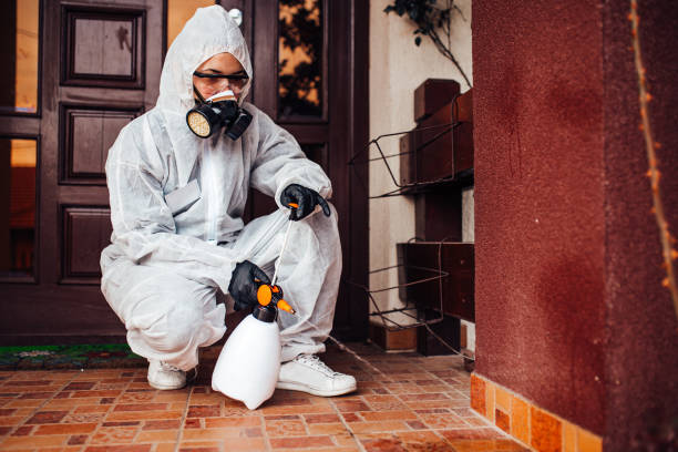 Reliable Rodent Control contractor in Port Dickinson, NY by Nex Pest Control