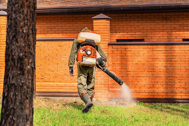 Trusted Rodent Control service in Port Dickinson, NY - Nex Pest Control